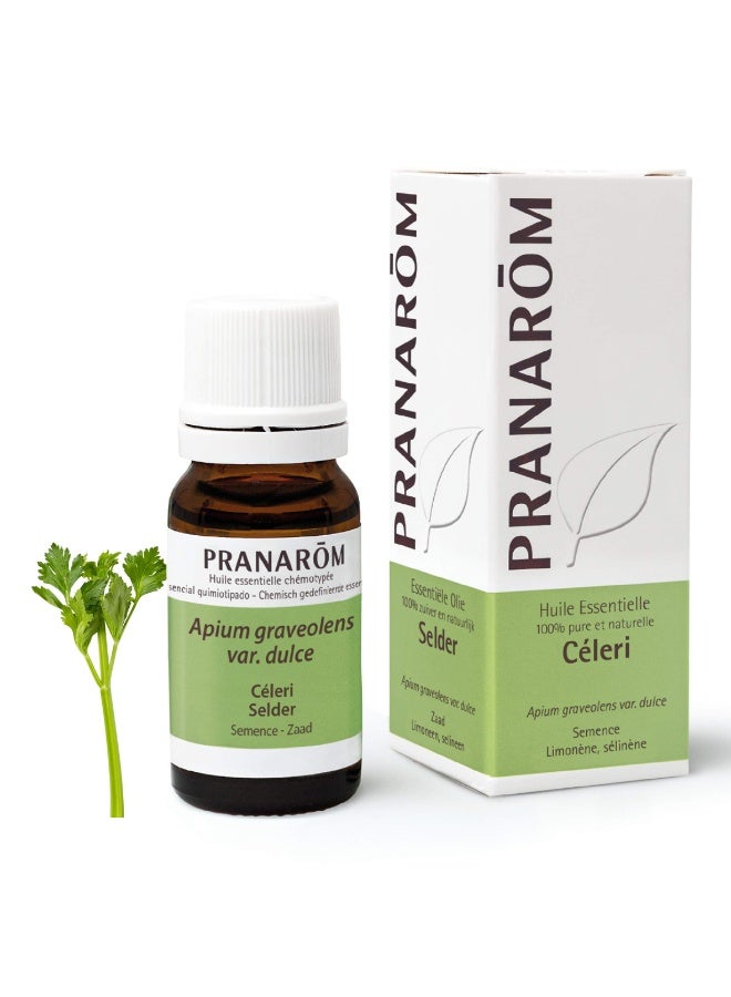 PRANAROM Pranarôm Essential Oil Celery (Apium graveolens var. dulce) 10 ml - Image 4